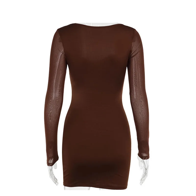 Bodycon Mini Dresses- Sheer Long Sleeve Bodycon Mini Dress with Lace Details