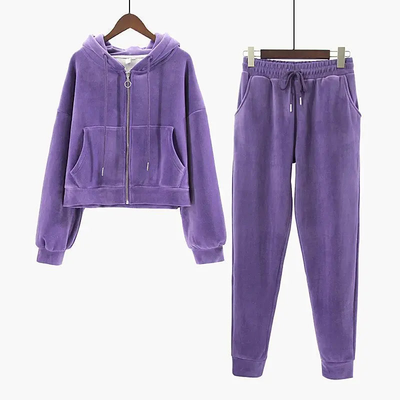 Pants Sets- Velour Hoodie & Joggers Set Lounge Velvety Tracksuit- purple- IndioGear Women Clothing